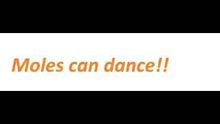 Moles can dance!!