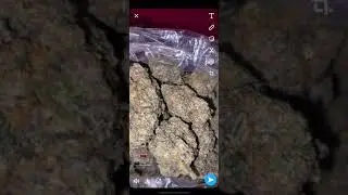 CHIEF KEEF NEW WEED STRAIN (GROSS)