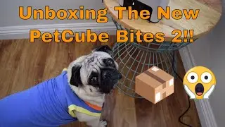 Unboxing the New PetCube Bites 2 Pet Camera with Treat Dispenser