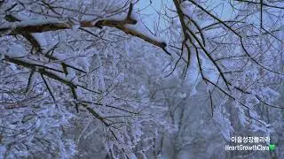 오늘을 내려놓는 따뜻한 겨울 밤 1시간💚 | Soft Music for Letting Go Tonight 1Hour💚