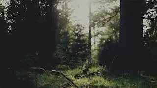 Dramatic Music | Wind Marching For Rain