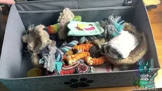 Great Pet Toy Storage Bin! Mindspace Foldable Toy Storage Box