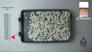 Oxo-Biodegradable Film (Degradation Process)