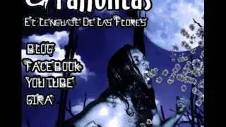 Le voy a decir al sol Graffolitas