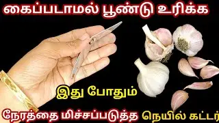 மணிக்கணக்காக செய்ற வேலையை நிமிஷத்துல முடிக்க|kitchen tips in Tamil @hezatastyrecipes 