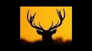 Dead Deer Removal Spring Lake Heights & Lake Como NJ - Call Us 24-Hours (732) 600-1974 Deer Removal