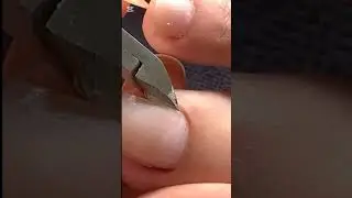 nails in province
