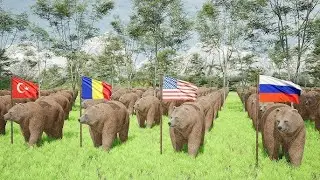 Brown Bear Population by Country in 2023