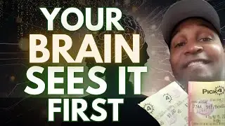 Your Brain Can Make You See the Winning Lottery Ticket