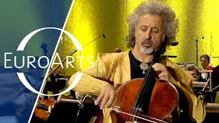 Mischa Maisky: Camille Saint-Saëns - Le Cygne from 