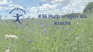 #36 Hulp vragen als kracht
