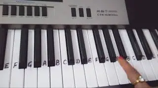 Deewani Mastani |Keyboard Tutorial|Harmonium|Piano|Slow tutorial for beginners