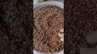 Sprouted ragi powder for babies/#baby food