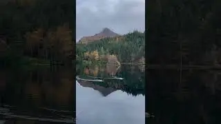 Glencoe Lochan trails, Scotland, UK @Enjoythemoment-ei7bp  #nature #autumnseason #discoveruk