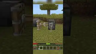 NEW Any Item Duplication Glitch Tutorial [Bedrock 1.21.101] #shorts