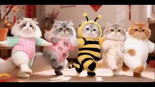 Cute Cat Dance 😂 #cat #funny #viral #ytshorts #ai #ytshort #pets