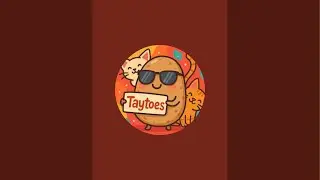 Cat cam testing TAYTOES is live!