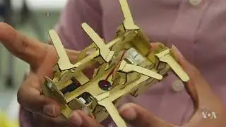 Crash-Test Cockroaches Inspire Wall-Climbing Robot