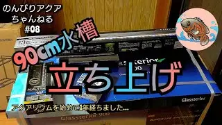 【90cm水槽立ち上げ】1年前に初めて水槽を立ち上げた時の様子をどうぞ＃08