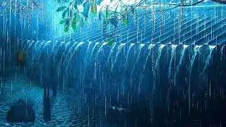 Powerful Rain and Thunder Sounds For Sleeping - Rain Sounds to Relax The Mind and Sleep Soundly