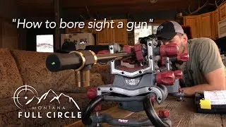 How to bore sight a gun