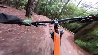 Check it! Rooty and off Camber, Pins and Needles at Red Hill #mtb #mtb #downhill #australia #enduro