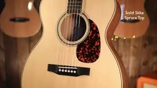 Larriv&eacute;e OM-03 Mahogany   -The Village Guitarist, LLC.-
