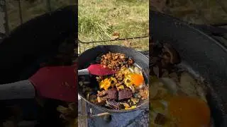 Living off the Land: week 1! #growyourownfood #offgridliving #urbanhomesteading