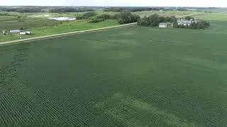 Crop Damage 8-13-2019 Lemond Township, Steele County, MN
