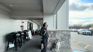 Southern NH Dog Training