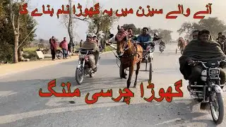 Charsi Malang horse new try All Pakistan tanga horse race