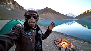 Viral Monkey Video | Viral Monkey vlog | LADAKH 2025: Heaven on Earth | Ultimate Travel Vlog 🇮🇳✨