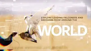 International Falcon Breeders Auction