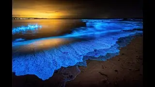 Oc&eacute;ano Profundo en la Noche | Sonidos para Vencer el Insomnio y Dormir Naturalmente