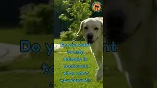 Join the Sponsor A Pet Affiliate Team
