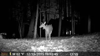 Cain cam 251226 E5S