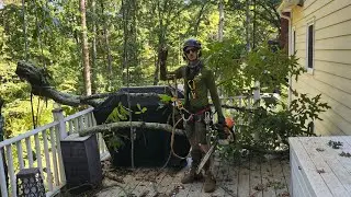 Tree Pruning with rope SRT