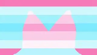 bad apple but it&rsquo;s ftm and mtf flags