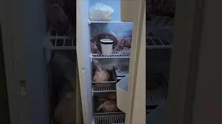 👍Best Freezer Money can Buy