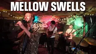 Mellow Swells Live at The Cave