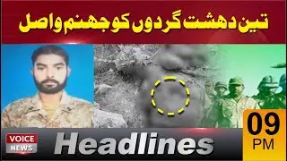 On December 31 Security Forces Killed Three Terrorists In Bajaur District | Voice News