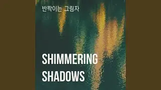 Shimmering Shadows
