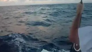Wahoo Trolling Cayman