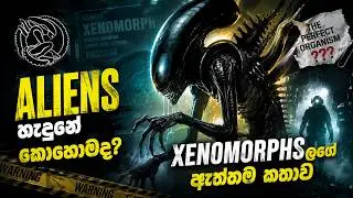 කවුරුත් නොකියූ Xenomorphsලගේ හැමදේම හරිම පිලිවෙලට!  | Alien (Xenomorph) Explained Sinhala Review