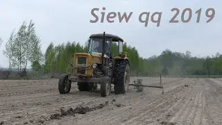 Siewy kukurydzy 2019 (Lubelskie)
