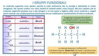 BIOCHIMICA - I gruppi Funzionali