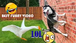Best Funny Videos Compilation P1- Cười ra nước mắt với những t&igrave;nh huống vui nhộn :)