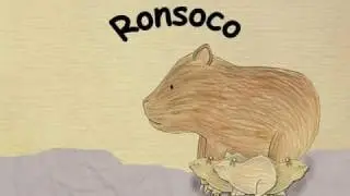 RONSOCO (BICHOS Y BICHOTES)