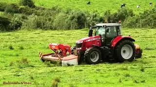 Topping Pasture with MF 7620 and Double Mowers.