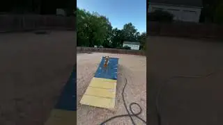 Poochie and His Toy